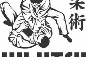 https://nsports.ro/wp-content/uploads/2024/06/JIU-JITSU-300x200.jpg