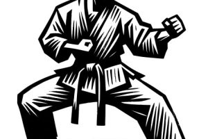 https://nsports.ro/wp-content/uploads/2024/06/Karate-300x200.jpg