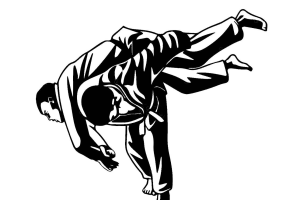 https://nsports.ro/wp-content/uploads/2024/06/judo-300x200.png